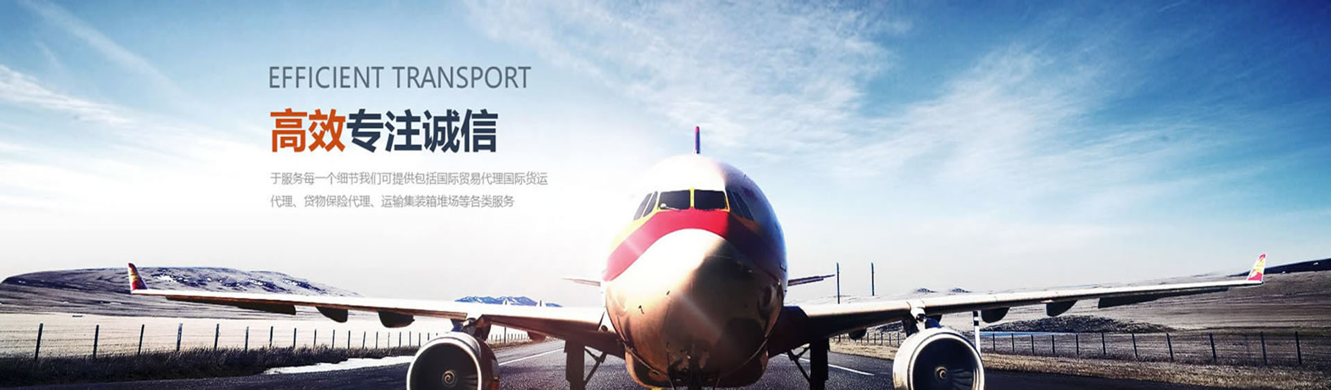 Air and sea freight solutions
Dedicated specialists taking care of your products